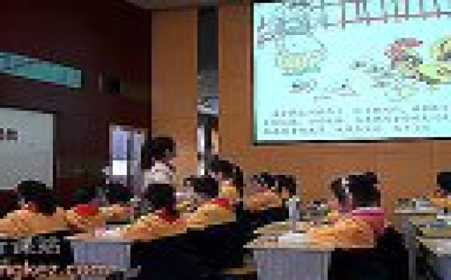 2013年湖北省小学语文比赛教学视频二年级下册《丑小鸭》